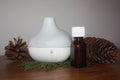 Essential Oil Diffuser with Evergreen Royalty Free Stock Photo
