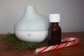 Essential Oil Diffuser with Peppermint & Evergreen Royalty Free Stock Photo