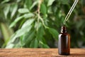 Essential oil dripping from pipette into bottle on wooden table, space for text Royalty Free Stock Photo