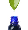 Essential oil drop falling from  leaf into glass bottle on white background, closeup Royalty Free Stock Photo