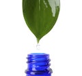 Essential oil drop falling from green leaf into glass bottle on white background Royalty Free Stock Photo