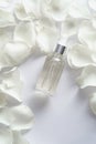 Essential oil dropper bottle with rose petals on white background. Flat lay, top view Royalty Free Stock Photo