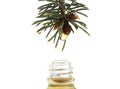 Essential oil dropping from pine branch into little bottle