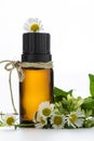 Essential oil, empty tags and chamomile Royalty Free Stock Photo