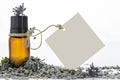 Essential oil, empty tags and lavender flowers