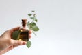 Essential Oil Of Eucalyptus In Small Brown Bottle With Eucalyptus In Womens Hands On White Background. Generative AI