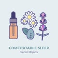 Essential oil extract bottle vector isolated. Lavender, chamomile, peppermint for comfortable sleep illustration