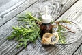 The essential oil and fresh sprig of arborvitae