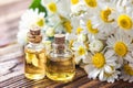 Essential oil in glass bottle with fresh chamomile flowers, beauty treatment. Spa concept. Selective focus. Fragrant oil of chamom