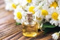 Essential oil in glass bottle with fresh chamomile flowers, beauty treatment. Spa concept. Selective focus. Fragrant oil of chamom Royalty Free Stock Photo