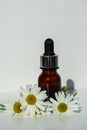 Essential oil in a glass bottle with fresh chamomile flowers, cosmetic procedure. The concept of a spa center. Royalty Free Stock Photo