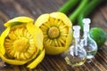 Essential oil in glass bottle with fresh flowers of Nuphar lutea, Yellow Water-lily, Brandy-Bottle-beauty treatment. Spa concept. Royalty Free Stock Photo