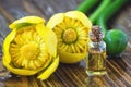 Essential oil in glass bottle with fresh flowers of Nuphar lutea, Yellow Water-lily, Brandy-Bottle-beauty treatment. Spa concept.