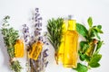 Essential oil in glass bottles. Thyme, mint, rosemary and lavender essential oils, top view