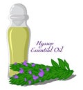 Essential oil of Hyssop