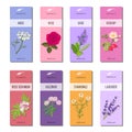 Essential oil labels collection. Rose, anise, sage, rosehip, Lavender, rose Geranium, Chamomile, Valerian