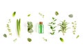 Essential oil and mix of herbs, green branches, leaves eucalyptus, aloe Vera, rosemary, thyme on white background. Flat Royalty Free Stock Photo