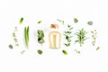 Essential oil and mix of herbs, green branches, leaves eucalyptus, aloe Vera, rosemary, thyme on white background. Flat Royalty Free Stock Photo