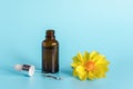 Essential oil in open brown dropper bottle with lying glass pipette and yellow flower on blue background. Concept Royalty Free Stock Photo