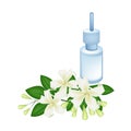 Essential Oil with Orange Jessamine or Mock Orange Flowers Royalty Free Stock Photo