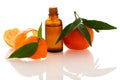 Essential oil of orange mandarin citrus fruit in little bottle d Royalty Free Stock Photo