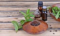 Essential oil in bottle and fresh leaf of mint with pepper in bowl