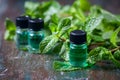 Essential oil of peppermint in small bottles, fresh green mint on wooden background Royalty Free Stock Photo