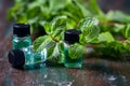 Essential oil of peppermint in small bottles, fresh green mint on wooden background Royalty Free Stock Photo