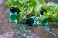 Essential oil of peppermint in small bottles, fresh green mint on wooden background Royalty Free Stock Photo