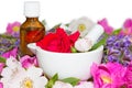 Essential oil and rose blossoms in mortar