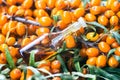 Essential oil of sea buckthorn Hippophae in glass bottle with fresh, juicy ripe yellow berries on the branch with green leaves-b