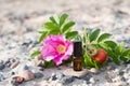 Essential oil small brown glass bottle Royalty Free Stock Photo