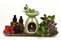 Essential Oil Sweet Basil, Thai Basil and oil burner burned on a white background. Royalty Free Stock Photo