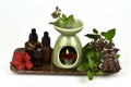 Essential Oil Sweet Basil, Thai Basil and oil burner burned on a white background. Royalty Free Stock Photo