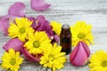Essential oil from sweet smelling flowers Royalty Free Stock Photo