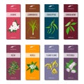 Essential oil tags collection. Sandalwood, patchouli, Ylang-ylang, neem, neroli, lemongrass, Eucalyptus, jasmine