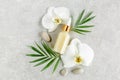 Essential oil, vegetable extract, serum, hyaluronic acid, facial cream, tropic palm leaves on gray marble background