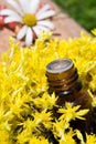 Essential oil with yellow flowers Royalty Free Stock Photo