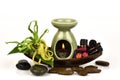 The essential oil of the ylang-ylang flower and the oil burner burned on the white background. Royalty Free Stock Photo