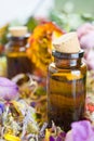 Essential oils, aromatherapy, dry flowers Royalty Free Stock Photo