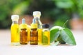 Essential oils - Aromatherapy herbal oil bottles aroma with formulations lime lemon herbal and nature green background Royalty Free Stock Photo