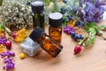 Essential oils with autumn plants Royalty Free Stock Photo