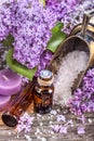 Essential oils and bath salt Royalty Free Stock Photo