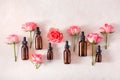 Essential oils in bottles rose flowers. alternative medicine aromatherapy