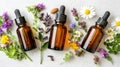 Essential oils bottles surrounded by medicinal herbs and flowers Royalty Free Stock Photo