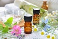 Essential oils and herbal cosmetics Royalty Free Stock Photo