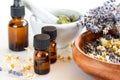 Essential oils with herbs Royalty Free Stock Photo