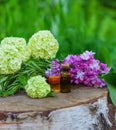 essential oils and medicinal flowers, herbs. Selective focus Royalty Free Stock Photo