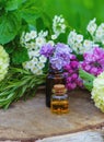 essential oils and medicinal flowers, herbs. Selective focus Royalty Free Stock Photo