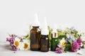 Essential oils with medicinal plants and flowers Royalty Free Stock Photo